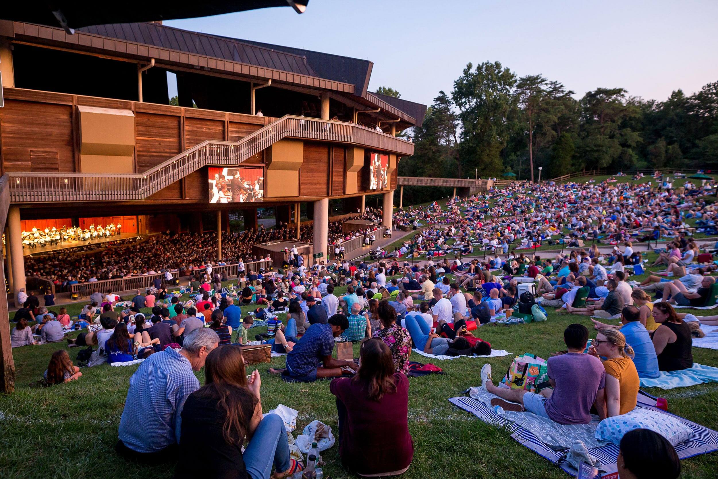 people participating in fun activities in northern virginia, such as watching outdoor movies