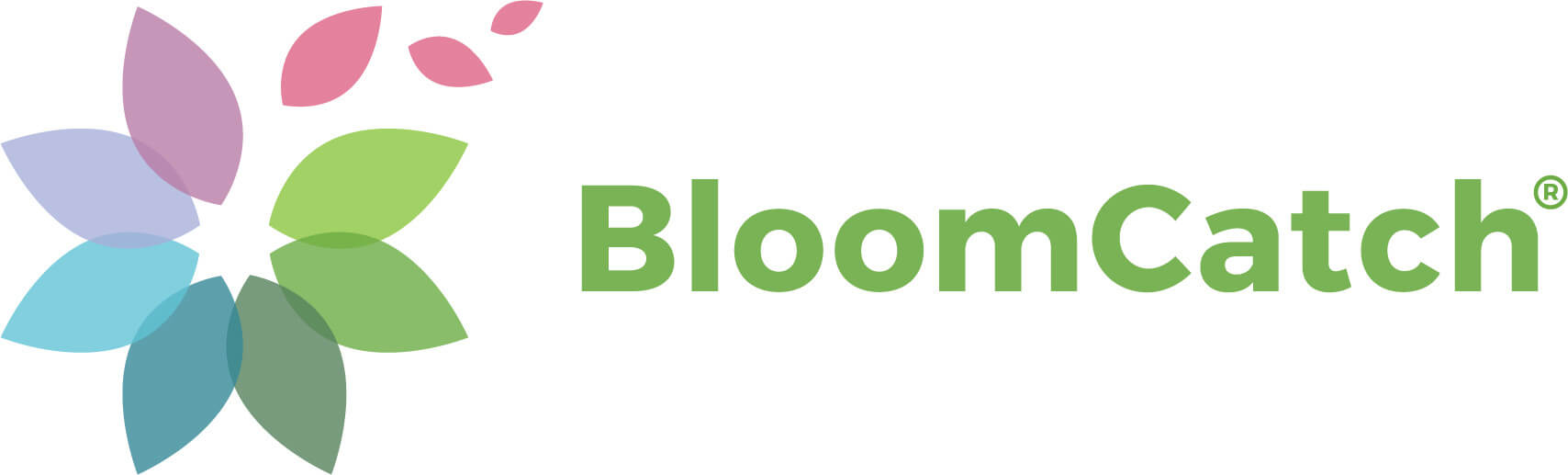 BloomCatch Logo
